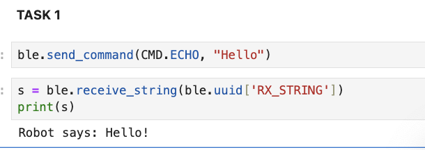 Echo code